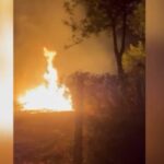 Delvinë/ Ndezën zjarrin që dogji 18 banesa, një kishë dhe 20 mijë rrënjë ullinj, nisin hetimet për 3 persona (Emrat)