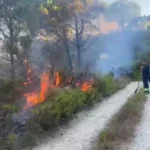 Mallakastër/ 30 trupa të ushtrisë ndërhyjnë për shuarjen e flakëve në Belishovë