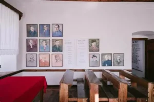 Kongresi i Lushnjës, kërkohet shpallja festë kombëtare