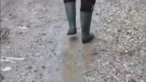 Dhjetëra banorë të fshatit, pjesë e njësisë administrative Cakran në Fier, janë ngritur ditën e sotme në një protestë për rrugën e pakalueshme të varrezave