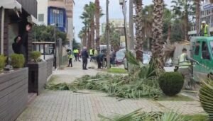 Rruga “Shëtitorja e Palmave” dhe hapësirat publike gjatë saj u pastruan sot nga punonjësit e Ndërmarrjes së Pasurisë Publike.