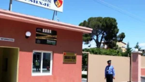 Dy persona, motër dhe vëlla, janë proceduar në Lushnjë pasi kanë kërcënuar një avokat.