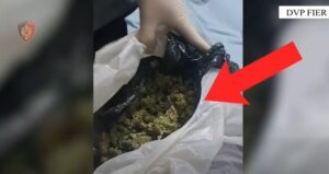 Shpërndante kokainë dhe kanabis në Lushnjë/ Vihet në pranga një 36-vjeçar