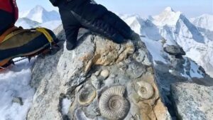 Zbulimi i JASHTËZAKONSHËM në majën më të lartë të botës po SHOKON shkencëtarët!