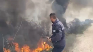 Flakët ‘pushtojnë’ kodrat e Vlorës, shkrumbohen parcelat me ullinj në fshatin Sherisht