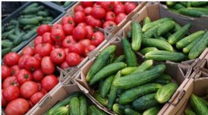 Protestojnë fermerët e Roskovecit dhe Dimalit: Nuk po shesim prodhimet, grumbulluesit bëjnë lojëra me çmimin