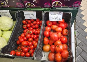 Ka mbërritur kriza e domates, kalon 400 lekë/kg!