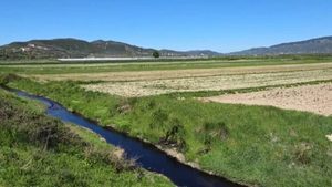 Prej 5 ditësh nafta derdhet në përroin e Gorishovës, banorët ngrenë alarmin për ndotje