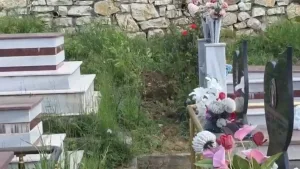 Zbardhet ngjarja në Lushnjë: Nuk u vodhën eshtrat, autori i dyshuar një 36-vjeçar me probleme të shëndetit mendor