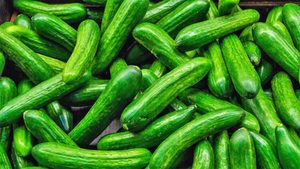 Çmimi i ulët i kastravecit dhe mungesa e fuqisë punëtore rrezikon fermerët e Roskovecit