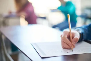 584 nxënës të klasave të pesta në Lushnjë zhvilluan sot provimin VANAF