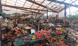 Digjet tregu i ri i fruta –perimeve në Lushnjë