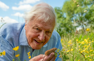 NJË SHEKULL ATTENBOROUGH/ Feston 100-vjetorin një nga figurat më të dashura të botës televizive