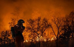 Alarmi i studiuesve: 2026 mund të jetë viti më i keq i zjarreve në histori, El Niño dhe ndryshimet klimatike rrisin rrezikun
