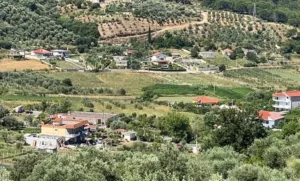 Fier/ Banorët e Kreshpanit protestë për mungesën e ujit: Prej vitesh pa furnizim, kërkojnë zgjidhje urgjente