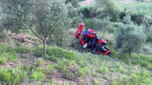 Po punonte në ullishte, humbet jetën aksidentalisht 65-vjeçari në Lushnjë