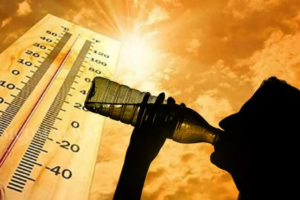 Lushnjë/ Temperaturat ekstreme deri në 40 gradë celcius! Meterologët: Kulmi i valës së të nxehtit pritet të jetë në fundjavë!