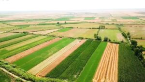 Mbyllen aplikimet për skemën mbështetëse në bujqësi, AREB Lushnjë: Interesi i fermerëve mbetet i lartë