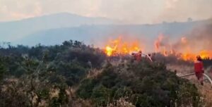 Rreziku nga zjarret/ Paralajmëron Lamallari: Zjarrvënia është krim, dënimet në Kodin Penal shkojnë deri në 15 vite burg