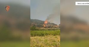 Zjarri masiv në Mallakastër/ Flakët rrezikojnë banesat, Policia evakuon disa familje në Koilac
