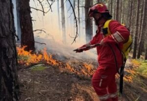 LUFTA ME ZJARRET/ Vetëm 11 nga 23 bashki kanë përdorur fondet prej 729 mln lekësh për emergjencat civile