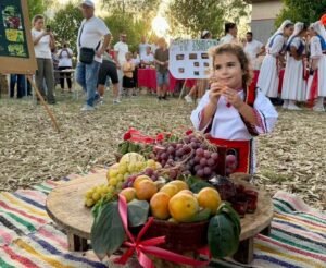 Festa e Vreshtarisë në Toshkëz
