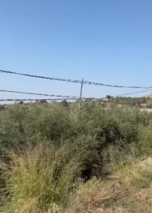 Korreshi denoncon mungesën e energjisë në Krutje: “Turp dhe skandal”