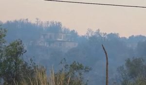 Shtëpi dhe ullinj të shkrumbuar, çfarë mbeti pas zjarrit masiv në Himarë