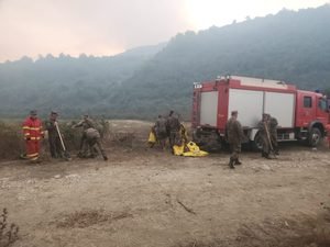 Fier/ Operacioni për shuarjen e flakëve në Frakull, në zonë edhe trupat e FA nga reparti i Tiranës