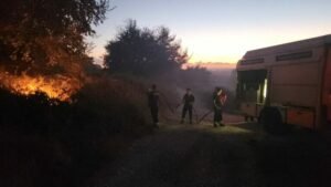 Parkut Arkeologjik i Apolonisë nuk u prek nga zjarri, tha Drejtoresha e këtij siti Ornela Durmishaj