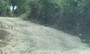 “Shteti na ka lënë në harresë”/ 10 kilometra rrugë e amortizuar në Çërrilë të Mallakastrës, izolohen pesë fshatra