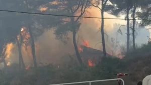 Vendi nën pushtetin e flakëve/ 39 vatra në 24 orët e fundit, situata më problematike në Fier dhe Himarë. Mbi 800 forca të angazhuara në terren