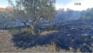 Fier/ Zbardhen tre raste zjarrvëniesh, identifikohen autorët e dyshuar