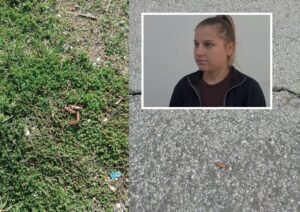 Roskovec/ Qëlloi me armë zjarri para banesës së ish-bashkëjetueses, arrestohet 37-vjeçari.