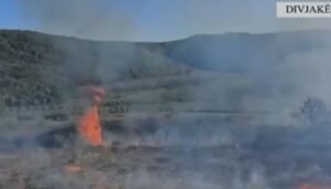 Dyshohet se ndezi zjarr në Kryekuq, kapet 29-vjeçari. Flakët rrezikuan pyllin e Parkut Kombëtar të Divjakës